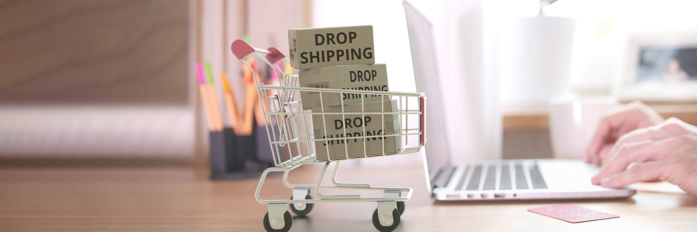 Dropshipping Suppliers	